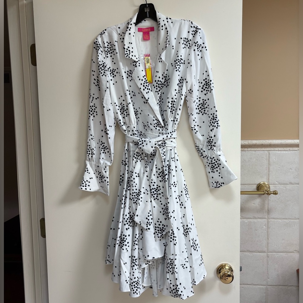 NWT Catherine Malandrino Rene Shirt Dress - Picture 3 of 5